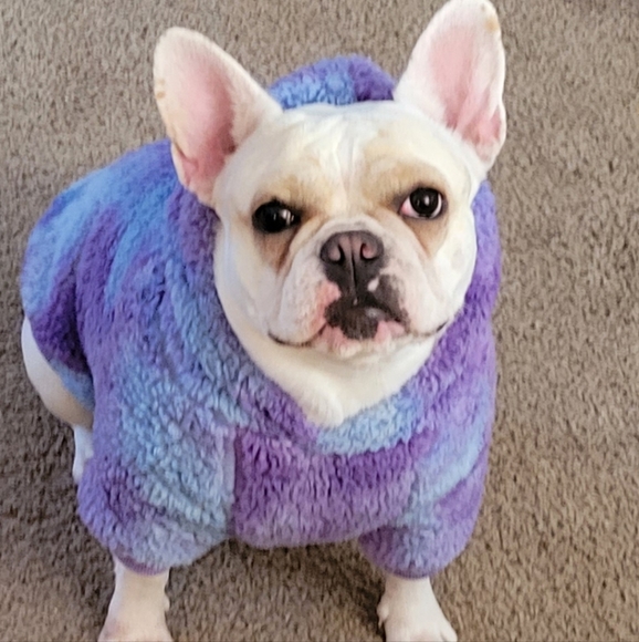 Meet your Posher, Celine - Picture 1 of 1